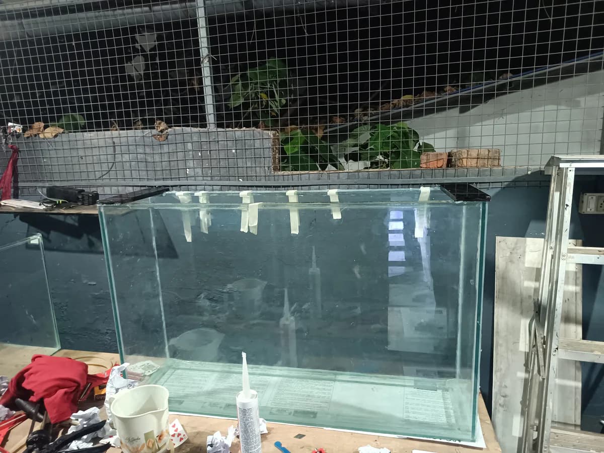 tank - image 1