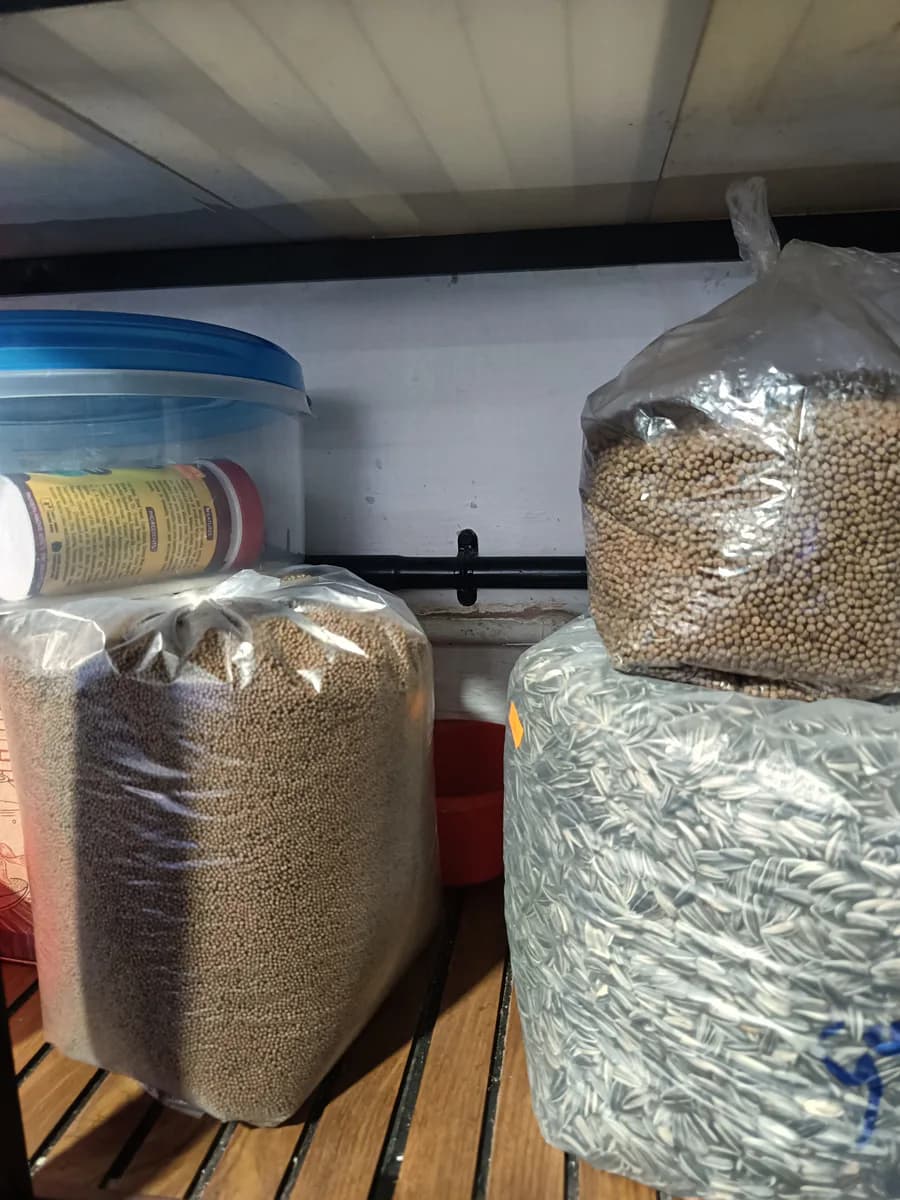 pellets - image 1